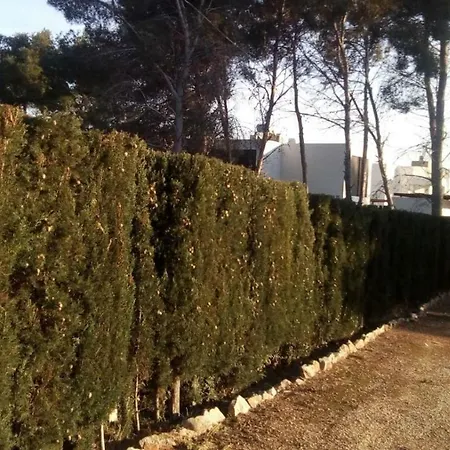 Pinomar Appartement Teulada