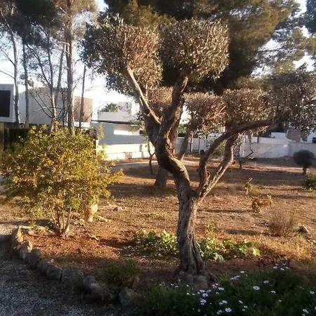 Pinomar Appartement *