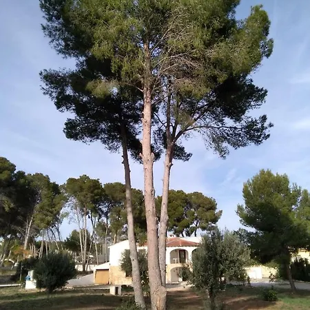 Appartement Pinomar
